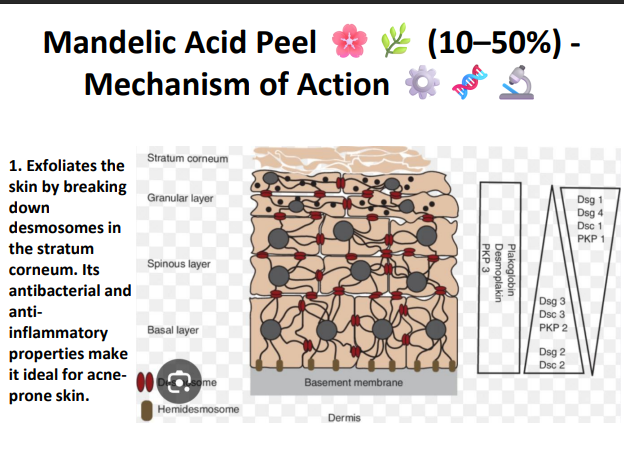 Mandelic Acid Peeling Solution 50% – Professional AHA Chemical Peel for Brightening, Pigmentation, Acne Marks & Sensitive Skin