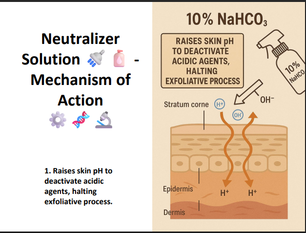 Neutralizer Solution – Professional Peel Neutralizing Liquid to Stop Acid Activity After Chemical Peels