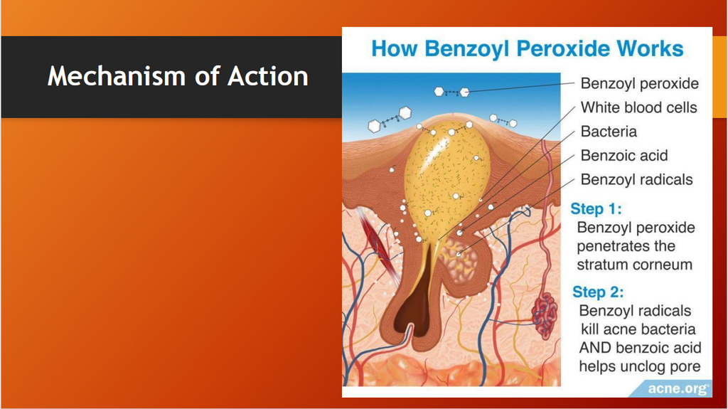 BPO Plus Cream (2% Benzoyl Peroxide + 1% Clindamycin) – Acne Treatment Cream for Pimples, Breakouts & Oily Skin (15g)