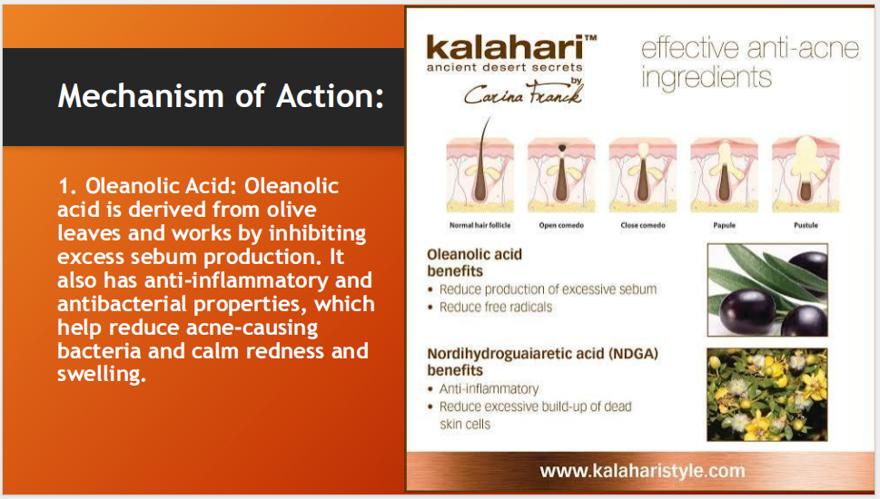 Clear Wash – Oil Free Face Wash for Acne, Oily Skin, Pimples & Deep Cleansing (with Oleanolic Acid + Vitamin B5 + Tea Tree Oil + Aloe Vera)