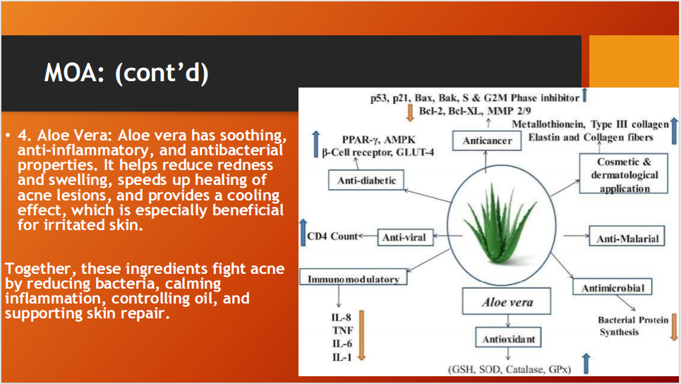 Clear Wash – Oil Free Face Wash for Acne, Oily Skin, Pimples & Deep Cleansing (with Oleanolic Acid + Vitamin B5 + Tea Tree Oil + Aloe Vera)