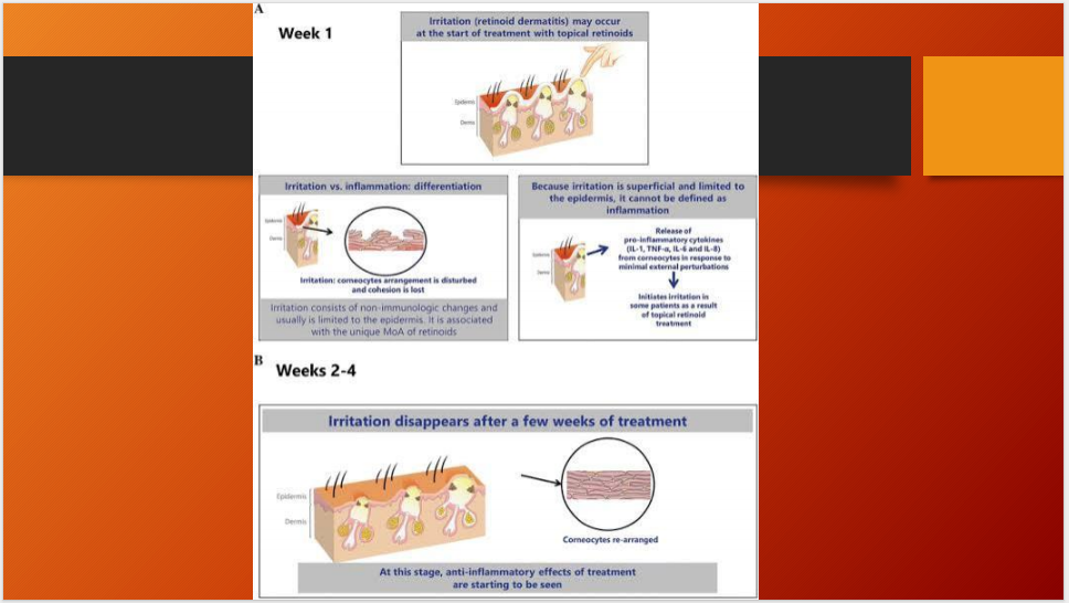 Tretinoin Cream 0.05% – Acne Treatment & Skin Renewal (15g)