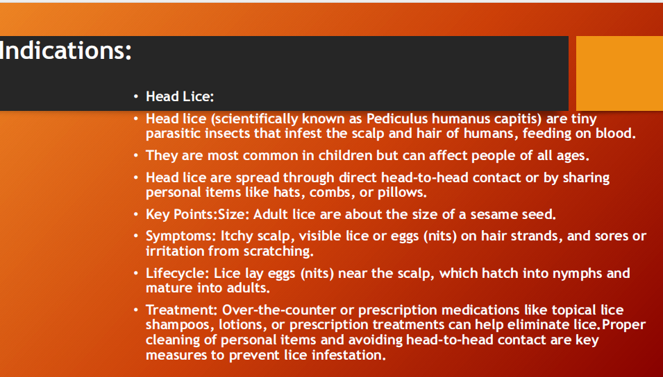 Permicite Oil 2% Permethrin – Anti-Lice Hair Treatment (60ml)