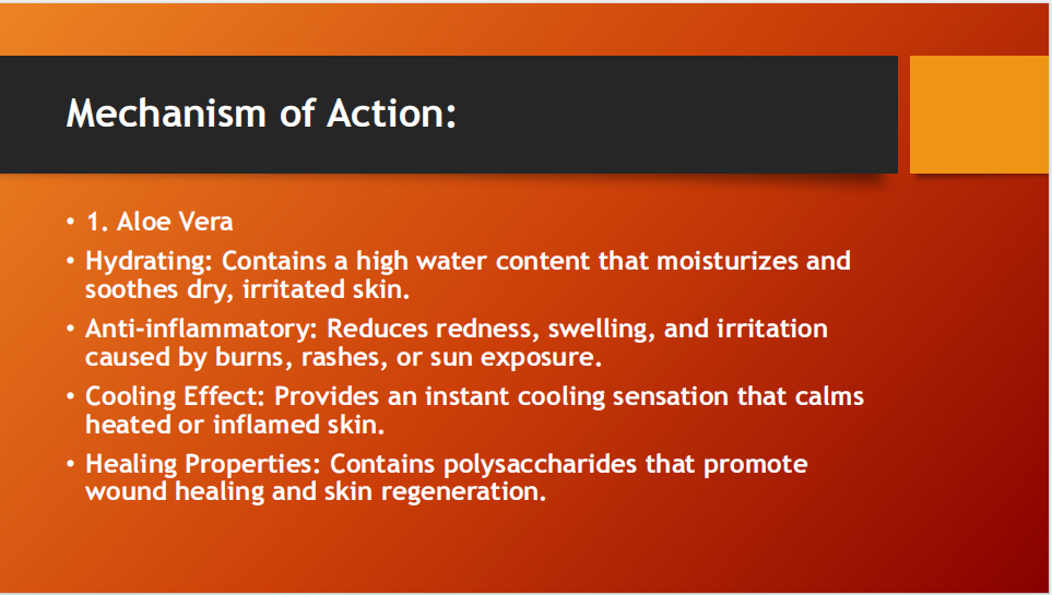 Aloderm Gel 50gm – Aloe Vera Cooling & Soothing Skin Repair Gel with Menthol, Vitamin E & Collagen