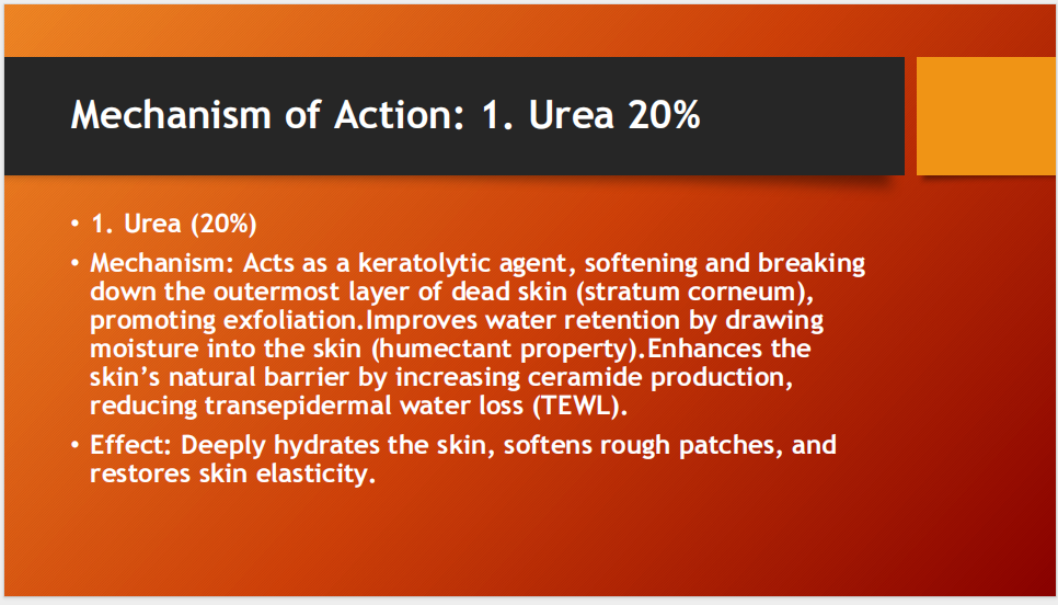 U-20 Cream 100gm – Intensive Skin Rehydration Cream with Urea 20% & Lactic Acid 5%